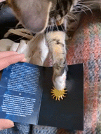 Siren Calling (Spinning Pin)