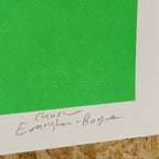 Do You Like Pineapples