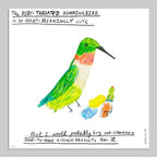 The Ruby-Throated Hummingbird Print