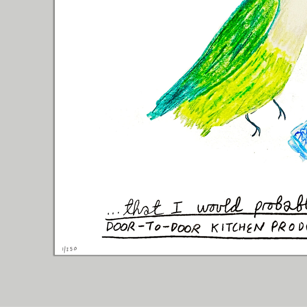 The Ruby-Throated Hummingbird Print