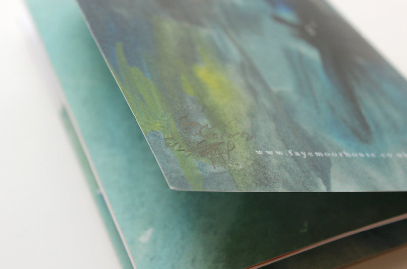 Birken Cat Goes to ... Iceland