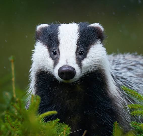 {{ product.title}} by {{ product.vendor }} | More {{ product.tag }} made by independent artists and designers available at {{ shop_name }} Shoreham-by-Sea