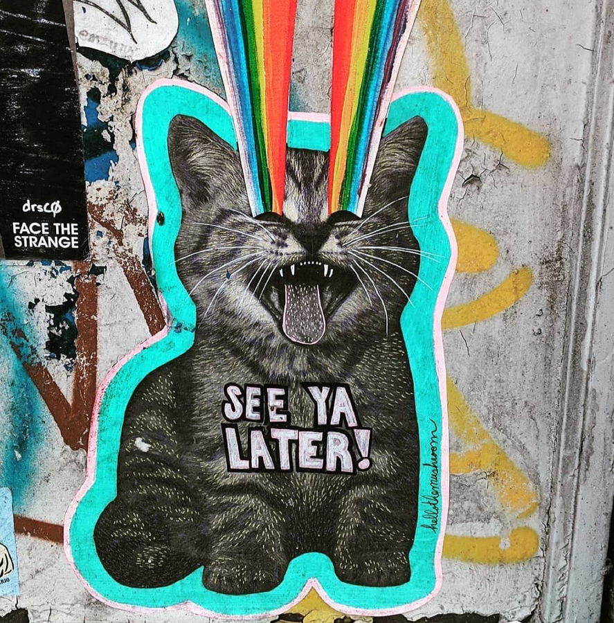 Rainbow kitty paste Shoreham kitty sticker with black fur teal outline