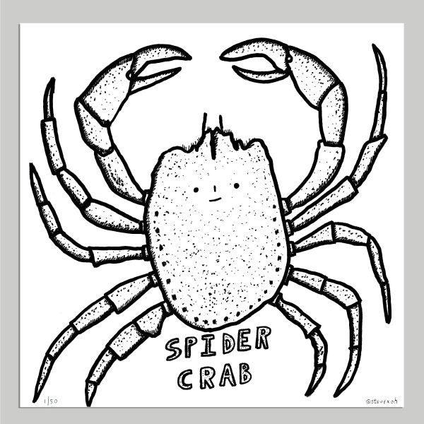 SPIDER CRAB
