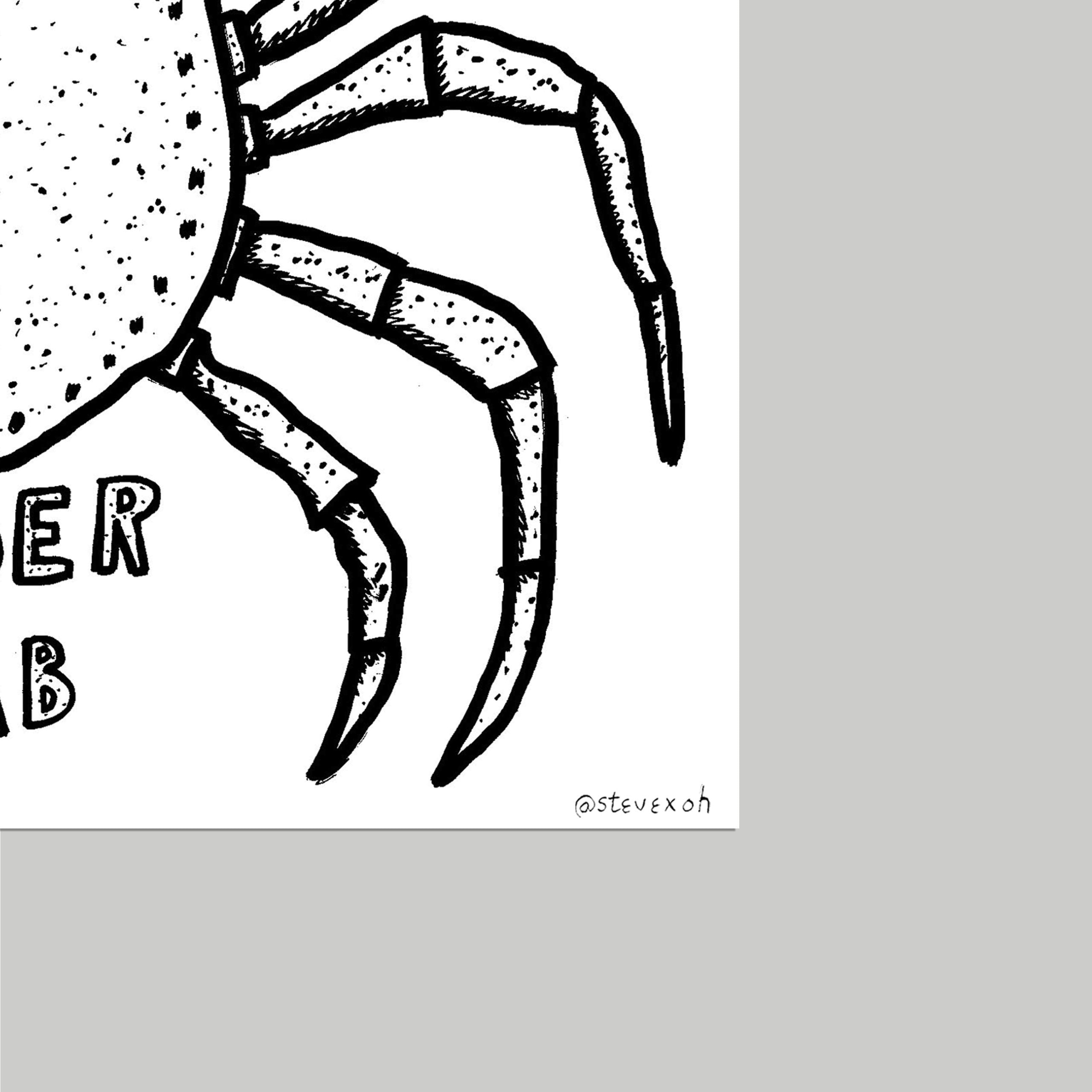 SPIDER CRAB