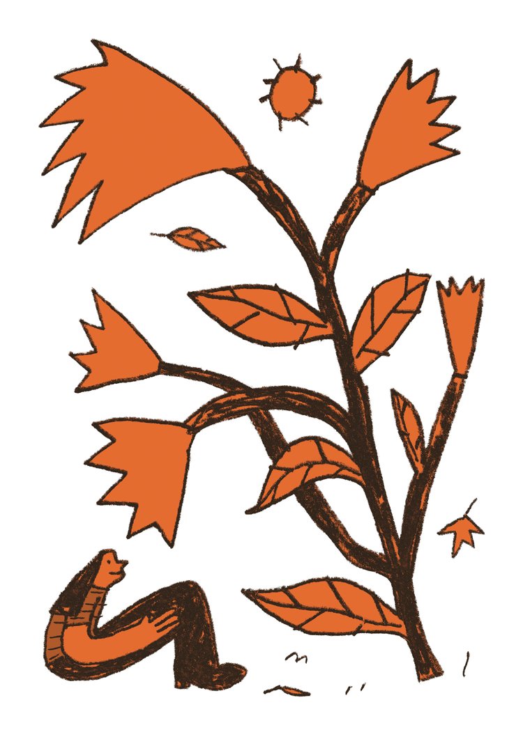 Sun Drenched-Neighbourhood Store 