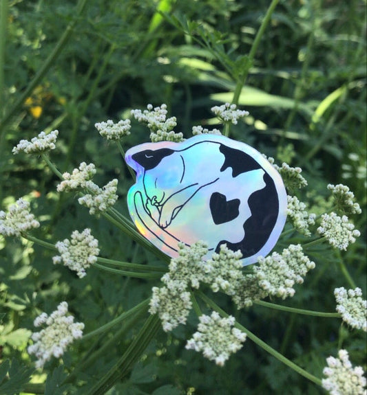 Shiny holographic cat sticker