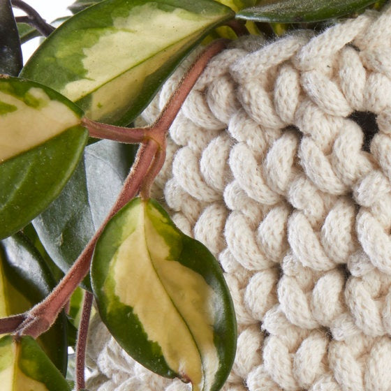 Mini Crochet Plant Pot Heather Orr
