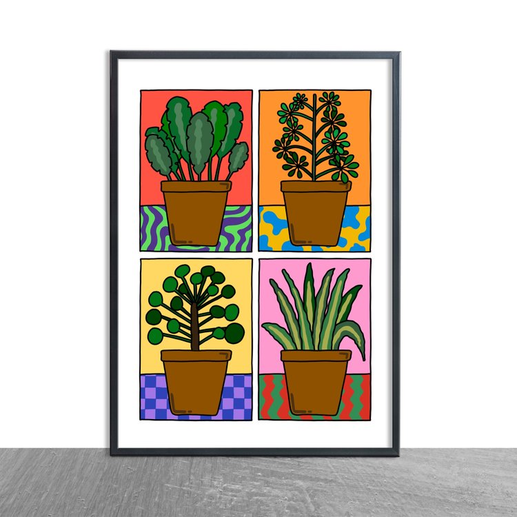 House Plants-Neighbourhood Store 