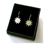 Sterling silver sunshine dangle earrings-Neighbourhood Store 