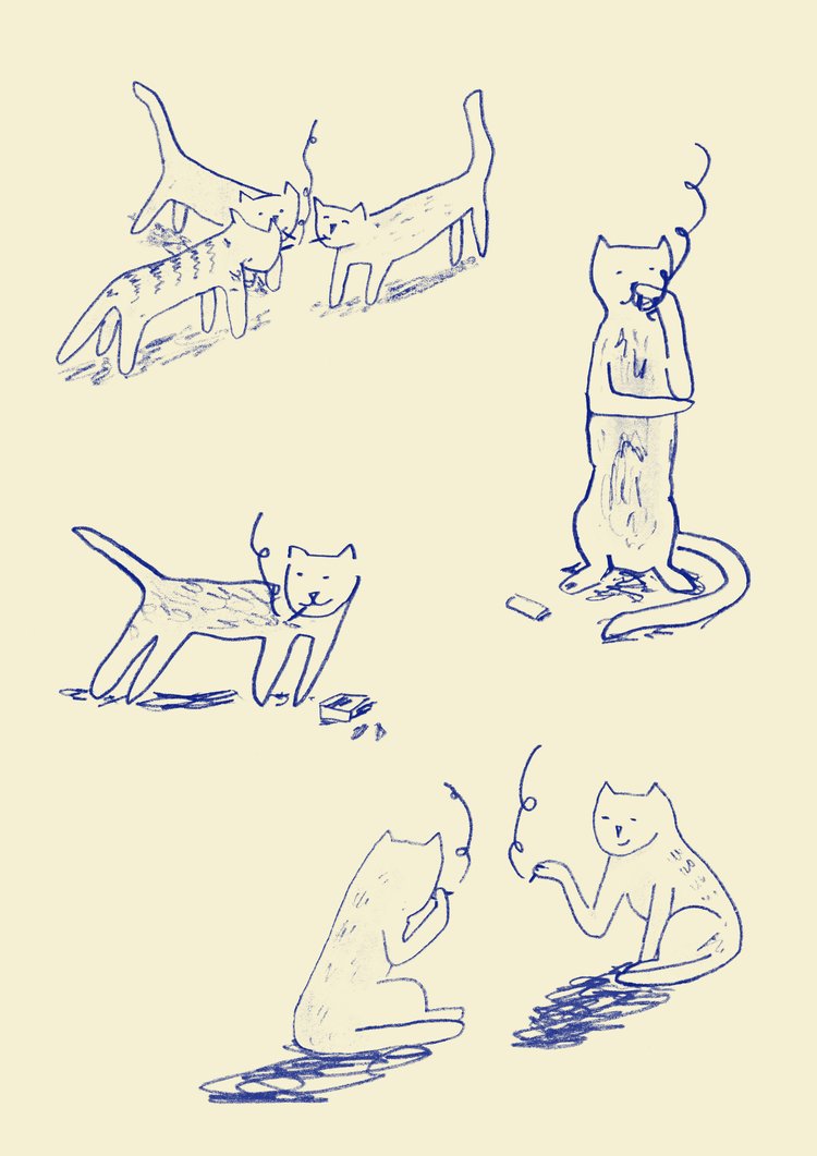 Smoking Cats-Neighbourhood Store 