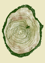 Within Nature-Neighbourhood Store 