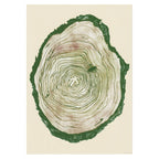 Within Nature-Neighbourhood Store 